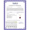 Image 2 : Genuine 1.45 ctw Amethyst Necklace 14KT Yellow Gold - REF-23M8T
