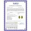 Image 2 : Genuine 4.26 ctw Peridot & Diamond Earrings 14KT White Gold - REF-46T2A