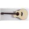 Image 1 : Yamaha APX-60 ElectroAcoustic Guitar [157434]