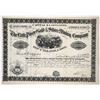 Image 1 : Little Piney Gold & Silver Mining Co. Stock Certificate [148250]