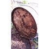 Image 6 : Wood Barrel - 28" tall 23" diameter