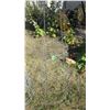 Image 2 : (5) Large Plant Cages - 54" tall 18" diameter
