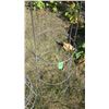 Image 3 : (5) Large Plant Cages - 54" tall 18" diameter