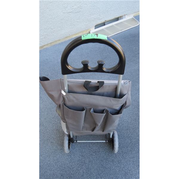 Wheeled shopping bag, bag can come off frame - free moving wheels