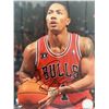 Image 1 : Bulls Derrick Rose signed photo