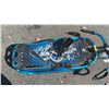 Image 2 : SKI DOO SLED
