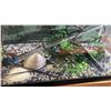 Image 2 : AQUARIUM WITH ACCESSORIES WORKING