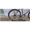 Image 2 : BLACK RALEIGH BIKE