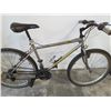 Image 2 : GREY ASCENTE BIKE