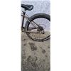Image 2 : SILVER DMR BIKE