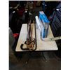 Image 1 : LOT OF CANES AND TOILET SEAT ASSIST FRAME