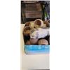 Image 2 : BOX OF COCONUT BOWLS 35+