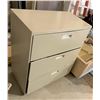 Image 2 : Larger Beige File Cabinet