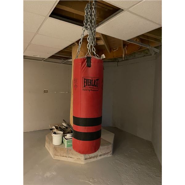 Everlast Punching Bag