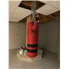 Image 1 : Everlast Punching Bag