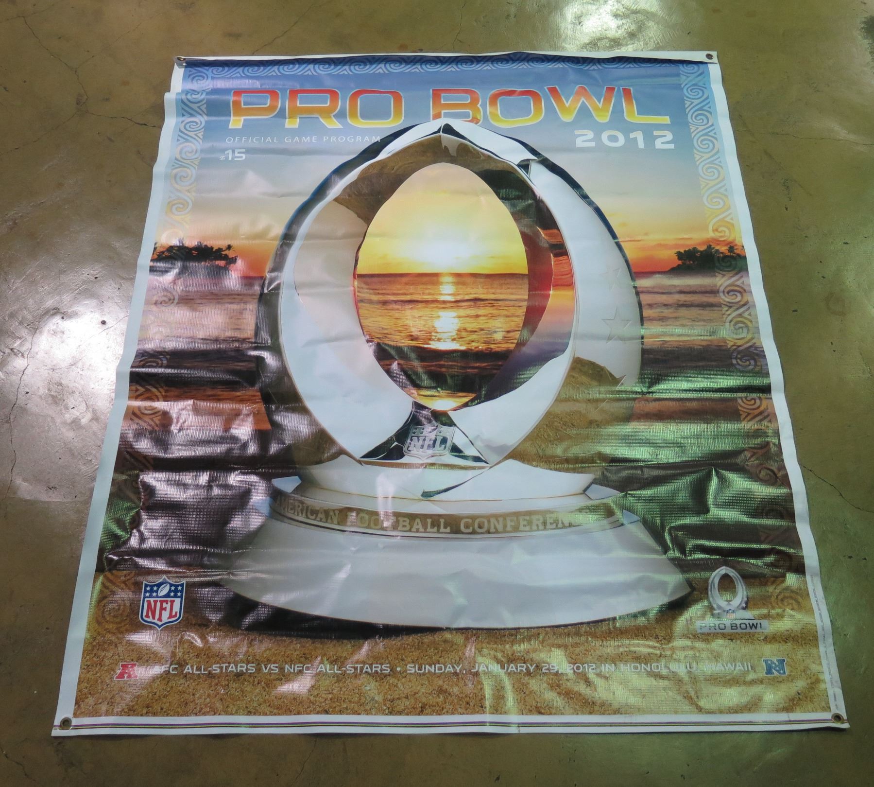 Pro Bowl 2012 NFL Promo Banner 50