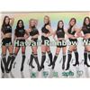 Image 3 : University of Hawaii Rainbow Warrior Dancers Banner, Signed, 36"x12"