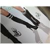 Image 6 : University of Hawaii Rainbow Warrior Dancers Banner, Signed, 36"x12"