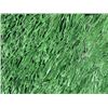 Image 4 : Aloha Stadium Field Turf, 6 Inches x 6 Inches