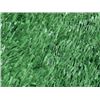 Image 5 : Aloha Stadium Field Turf, 6 Inches x 6 Inches