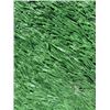 Image 3 : Aloha Stadium Field Turf, 6 Inches x 6 Inches