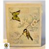 Image 1 : PICTURE OF BUTTERFLY AND BIRD