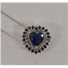 Image 1 : LADIES NECKLACE LABELLED .925 SILVER