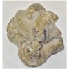 Image 1 : INUIT SOAPSTONE FIGURINE