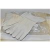 BUNDLE OF SZ LARGE PREMIUM 4.5" GAUNT GLOVES