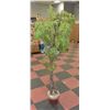 Image 1 : FAUX POTTED TREE 70" TALL