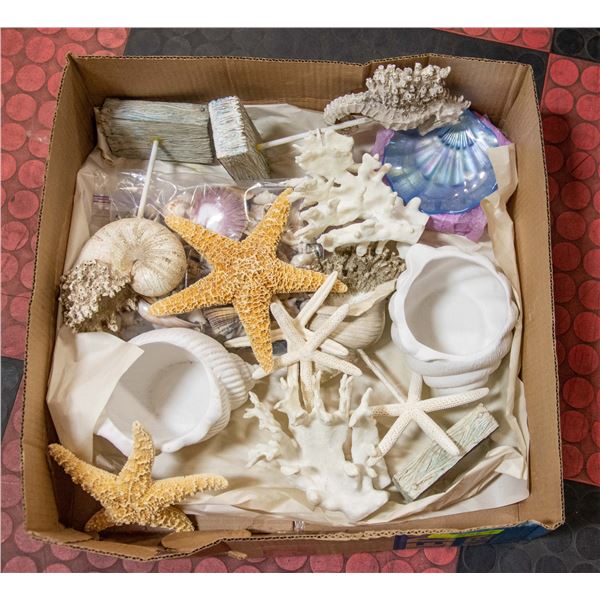 BOX OF HOME DECOR INCL. 2 REAL CORAL