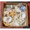 Image 1 : BOX OF HOME DECOR INCL. 2 REAL CORAL