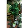 Image 1 : FAUX POTTED TREE 67" TALL