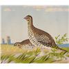 Image 1 : A.J. Casson Sharp-tailed Grouse