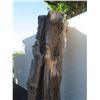 Image 11 : Tall Carved Wooden Tiki Totem Outdoor Décor 33" Diameter x 100"H