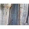 Image 15 : Tall Carved Wooden Tiki Totem Outdoor Décor 33" Diameter x 100"H