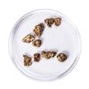 Image 1 : Lot of Gold Nuggets 3.35 Grams Total Weight