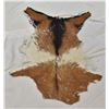 Image 2 : New Multi-Colored Goat Hide