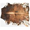 Image 2 : New Multi-Colored Cow Hide Rug