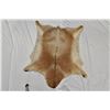 Image 2 : New Multi-Colored Goat Hide