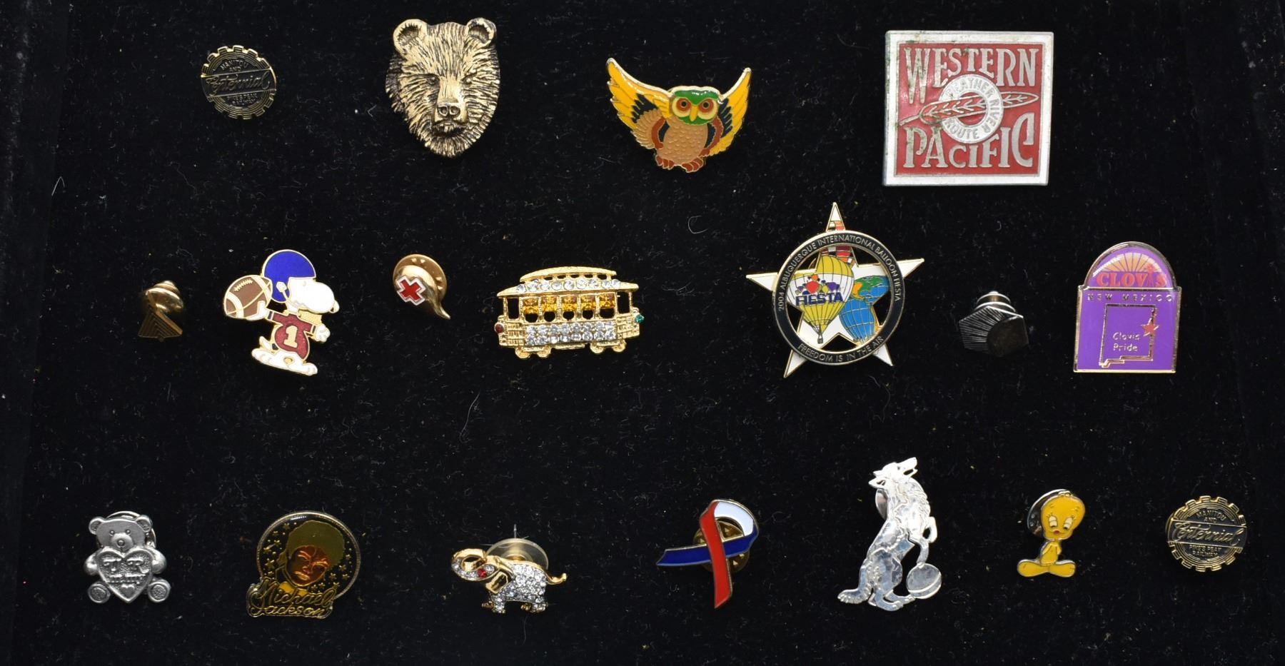 Pin Collection Assorment Pinback Assortment, 18 Pins