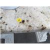 Image 2 : Gargoyle Base Granite Top Hall Table