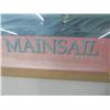 Image 2 : Framed Mainsail Vinoy Park Poster - 32" x 22"