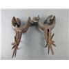 Image 4 : Double Engraved Chihuahua Iron Spurs- 1.6" Bands- 2.5" Shanks- 7 Point 4" Rowels- Fair Condition