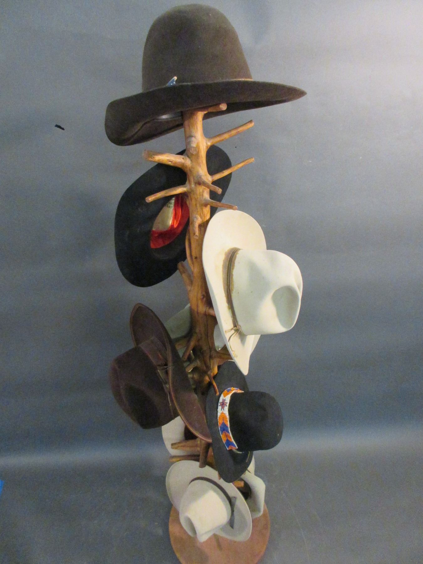 Dollar Tree Hat Racks Tree Hat Rack With 9 Hats- 69