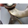 Image 2 : Star Marked Buermann Hercules Bronze Buffalo Head Spurs- 1.5" Concho Bands- 2.5" Shanks- 10 Point Ro
