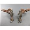 Image 1 : Unmarked Iron Spurs- 1" Bands- 1.6" Shanks- 10 Point Rowels- Jingle Bobs- Straps- Heel Chains