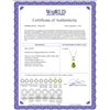 Image 2 : Genuine 1.50 ctw Peridot Necklace 14KT Yellow Gold - REF-35R4P