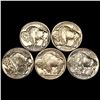 Image 2 : (5) Buffalo Nickels UNCIRCULATED