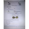 Image 3 : Natural Rose Cut Diamond Stud Earring Set  14K gold 7 .925 silver with certificate value $1900